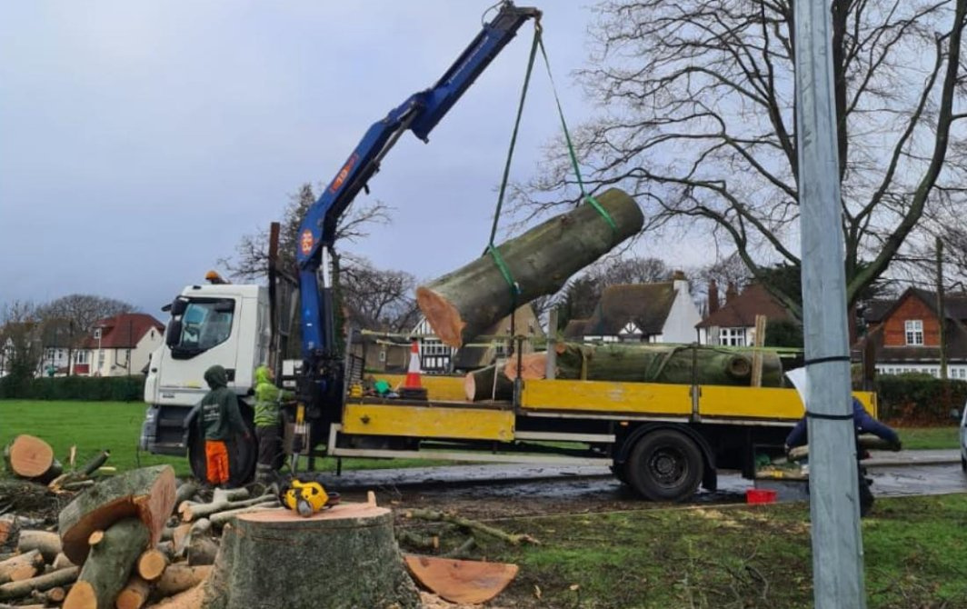 Tree Removal & Felling