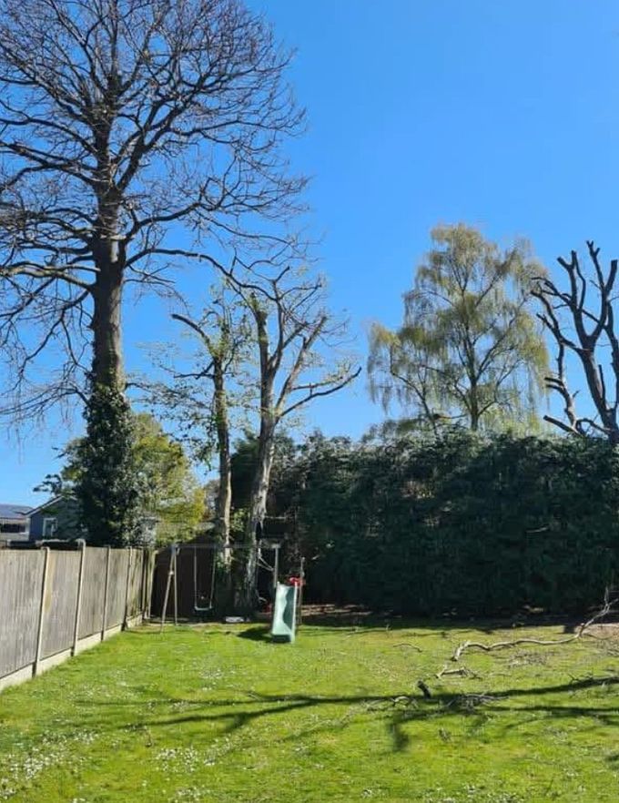Garden line after the work