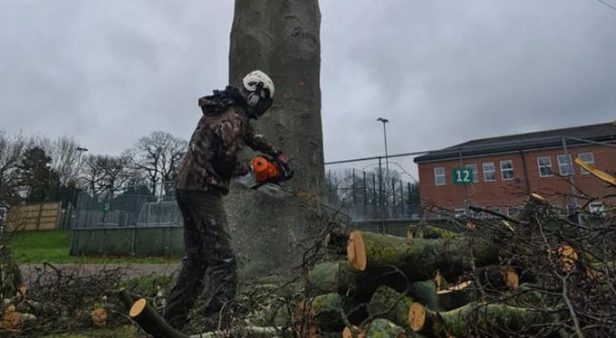 Controlled felling